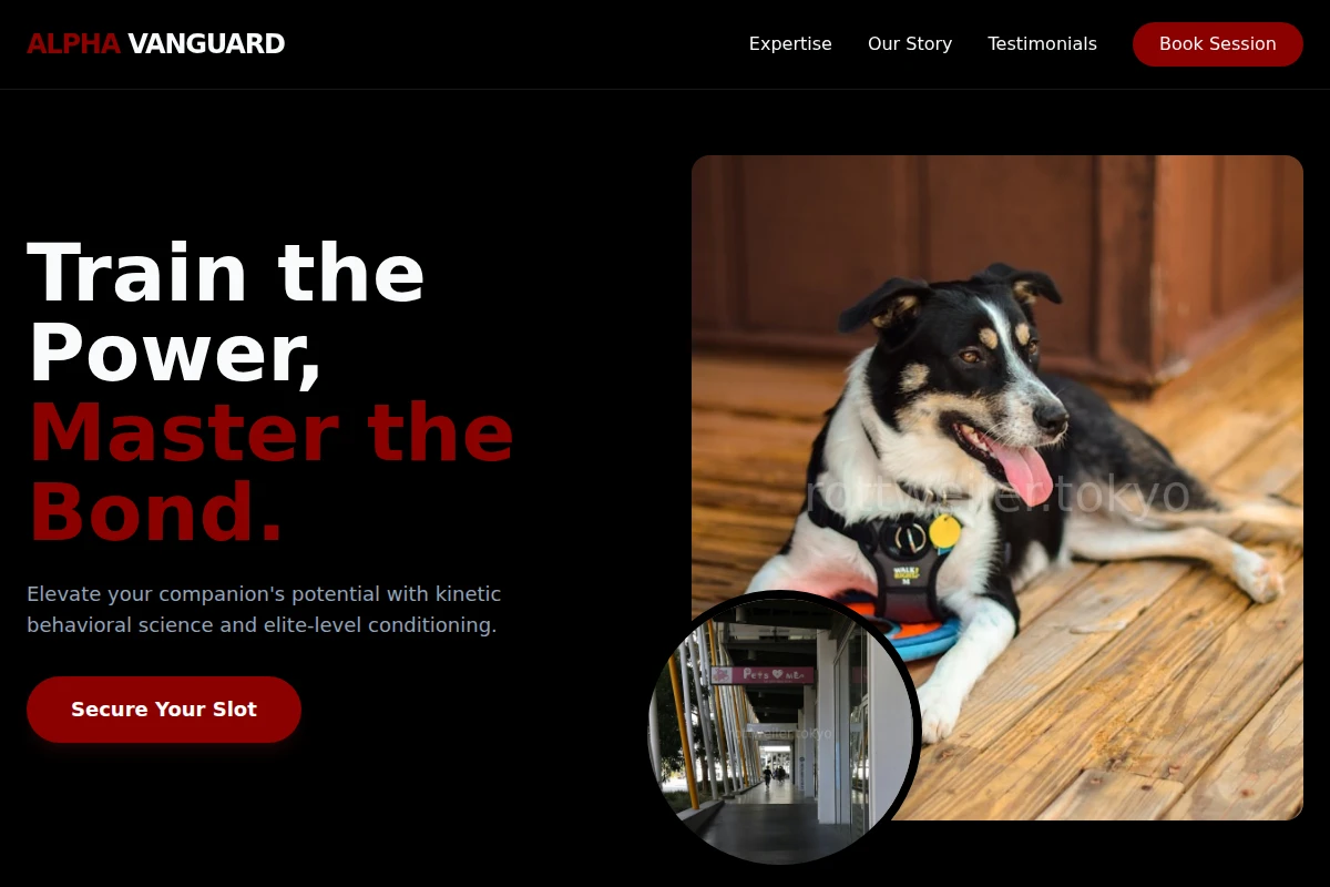 Kinetic Pet Services